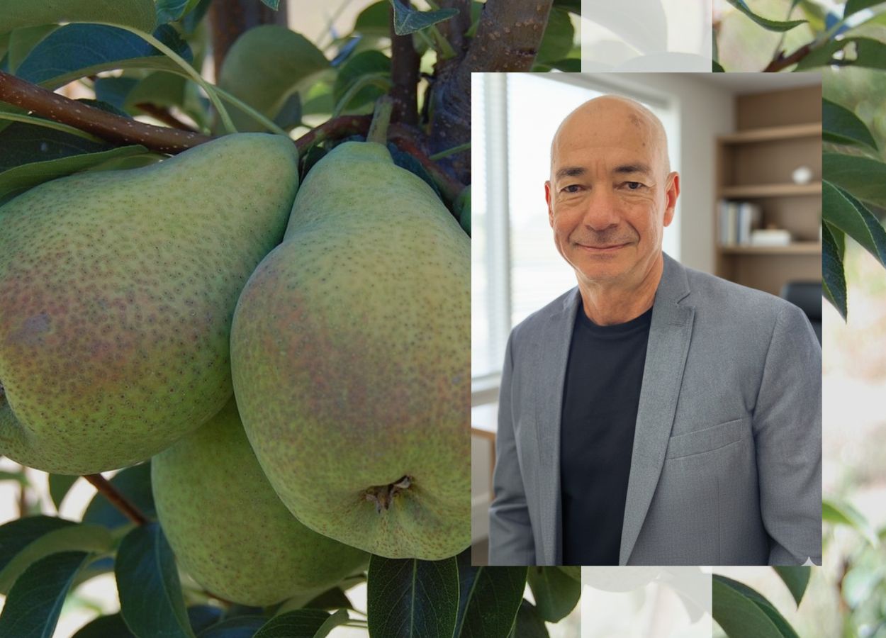 Bio, conventionnel ou local&nbsp;? Ce que les chiffres ne disent pas sur l’étiquette.