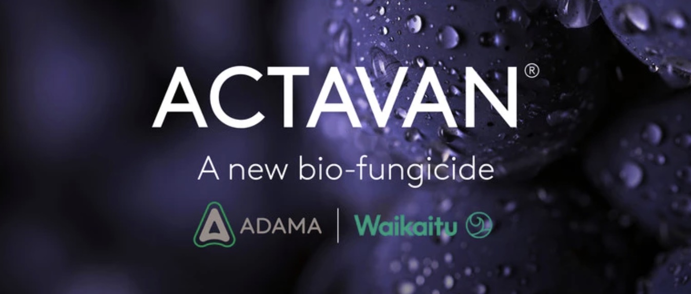 Adama recebe registro para o biofungicida "global" Actavan no Peru