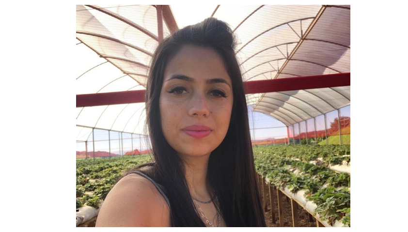 Produtora pioneira do Paraná agora possui dois certificados para produção sustentável de morango