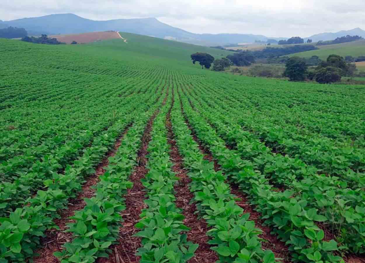 PI AgSciences leva tecnologias para soja à ExpoSoja 2026