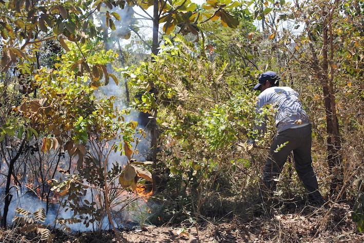 Aiba apresenta balanço do trabalho de combate a incêndios florestais em 2015