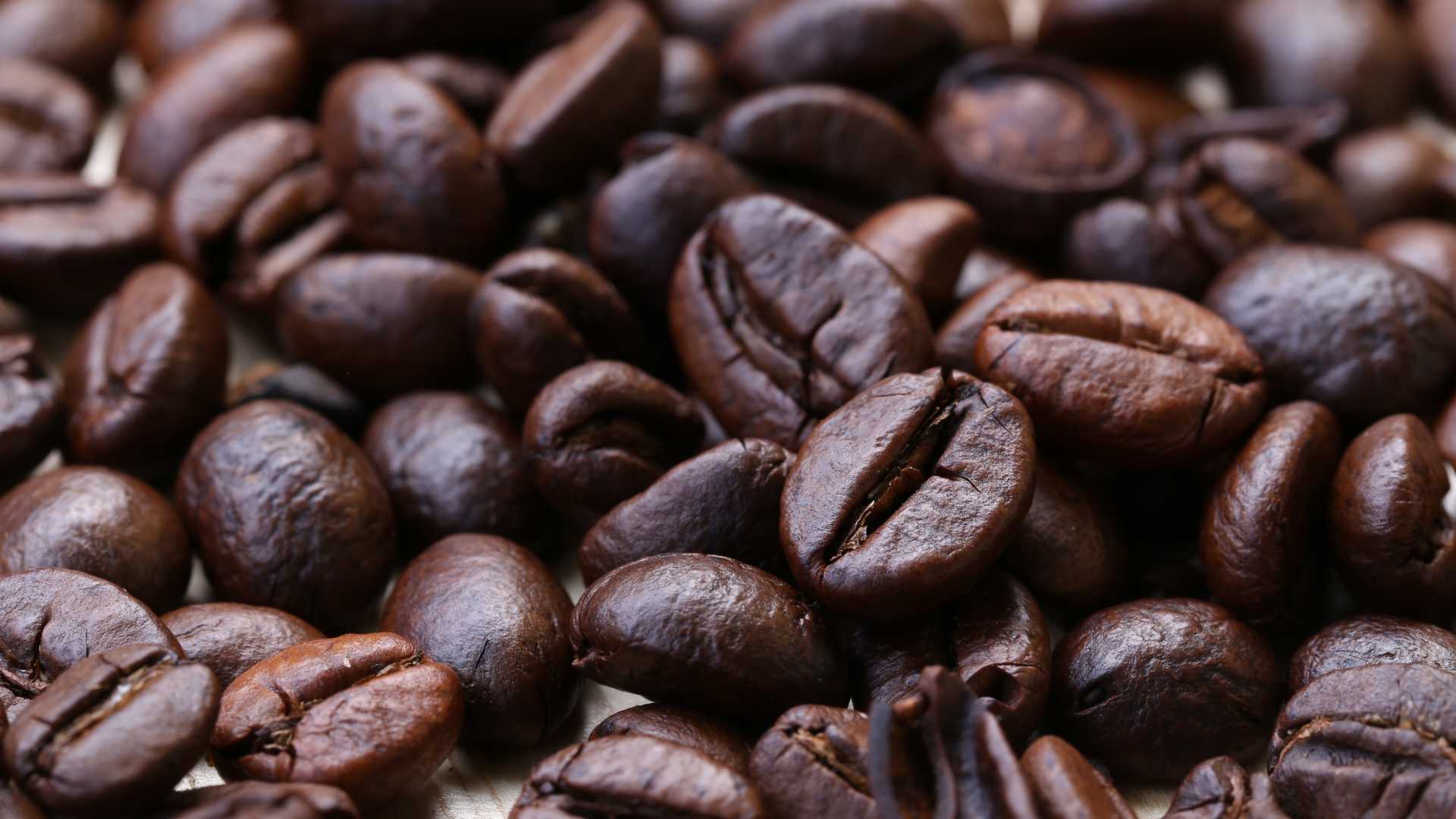 Exportação de café do Brasil sobre 29,4% ante agosto de 2022, registrando 3,7 milhões de sacas