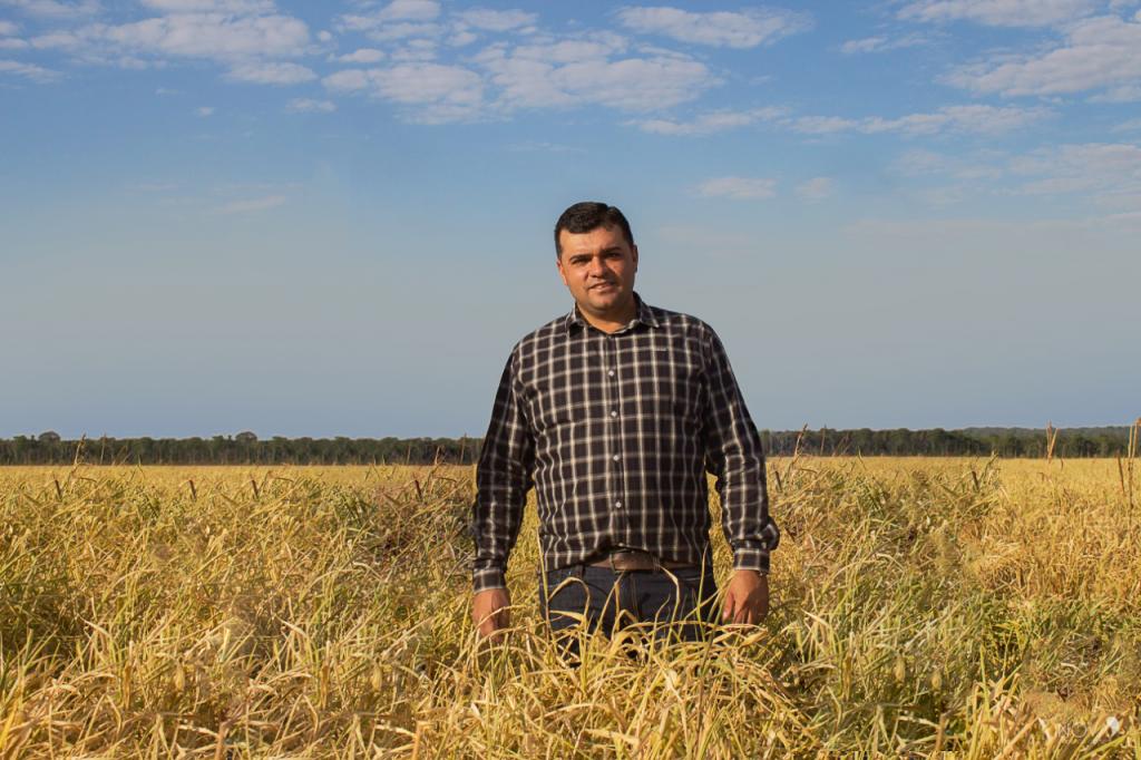 Consórcio de grãos com braquiária possibilita aumento de 12 sacas por hectare a produtor mato-grossense