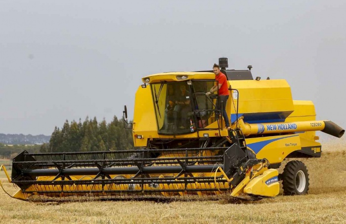 Salários da agropecuária do Paraná crescem no 2º trimestre