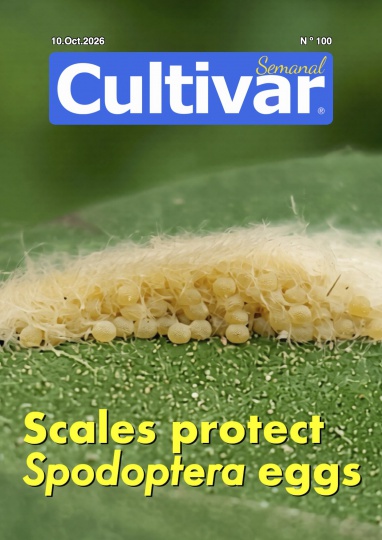 Cultiver chaque semaine 100