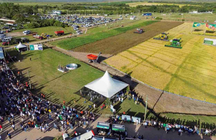Abertura da Colheita do Arroz reúne mais de 24,5 mil visitantes