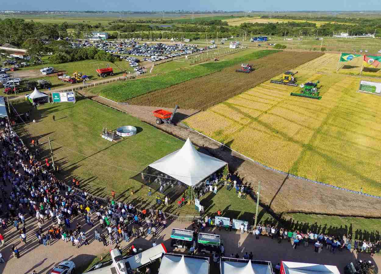 Abertura da Colheita do Arroz reúne mais de 24,5 mil visitantes