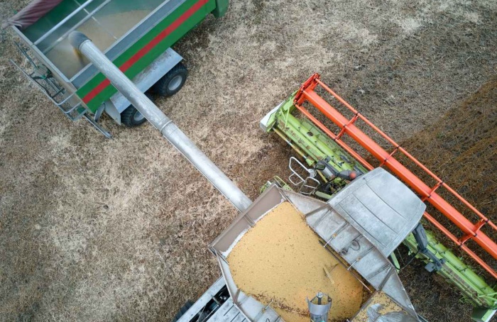 Mercado de grãos oscila entre trégua comercial e incertezas