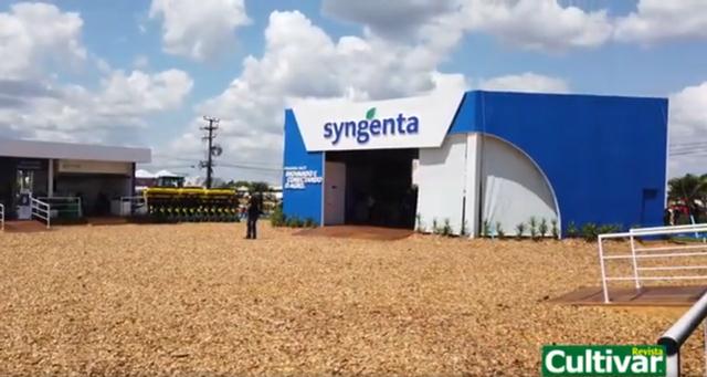 Syngenta lança cinco produtos no Show Rural