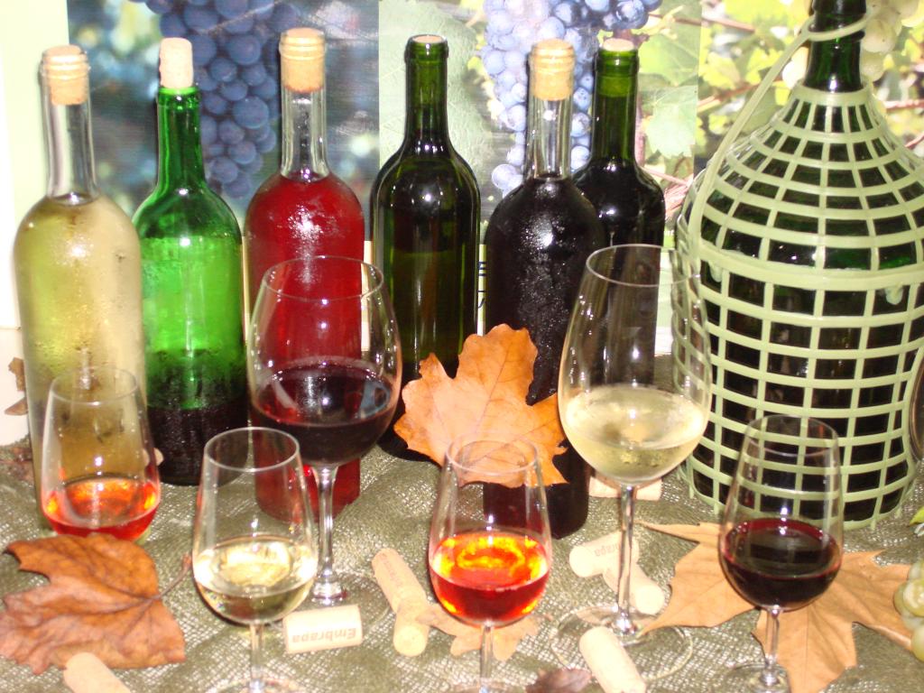 Abertas as inscrições para curso de elaboração de vinho na Serra Gaúcha e no Paraná