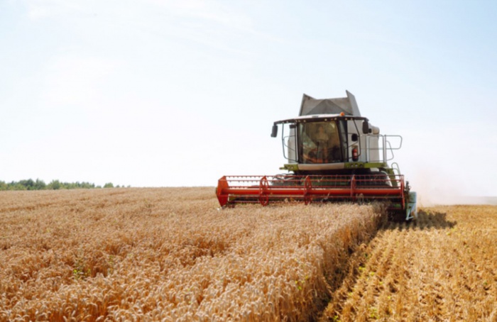 Agro lidera crescimento do PIB no 1º trimestre de 2025