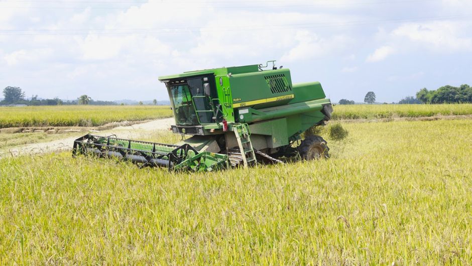 Foto:&nbsp;Monique Amboni