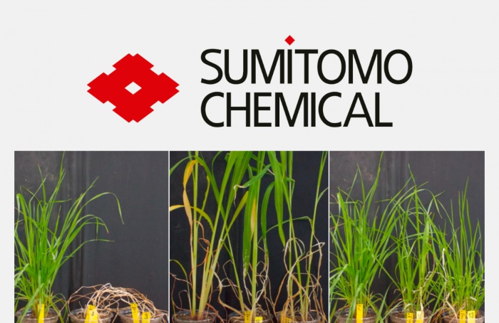 Sumitomo Chemical obtém registro do herbicida Rapidicil na Argentina