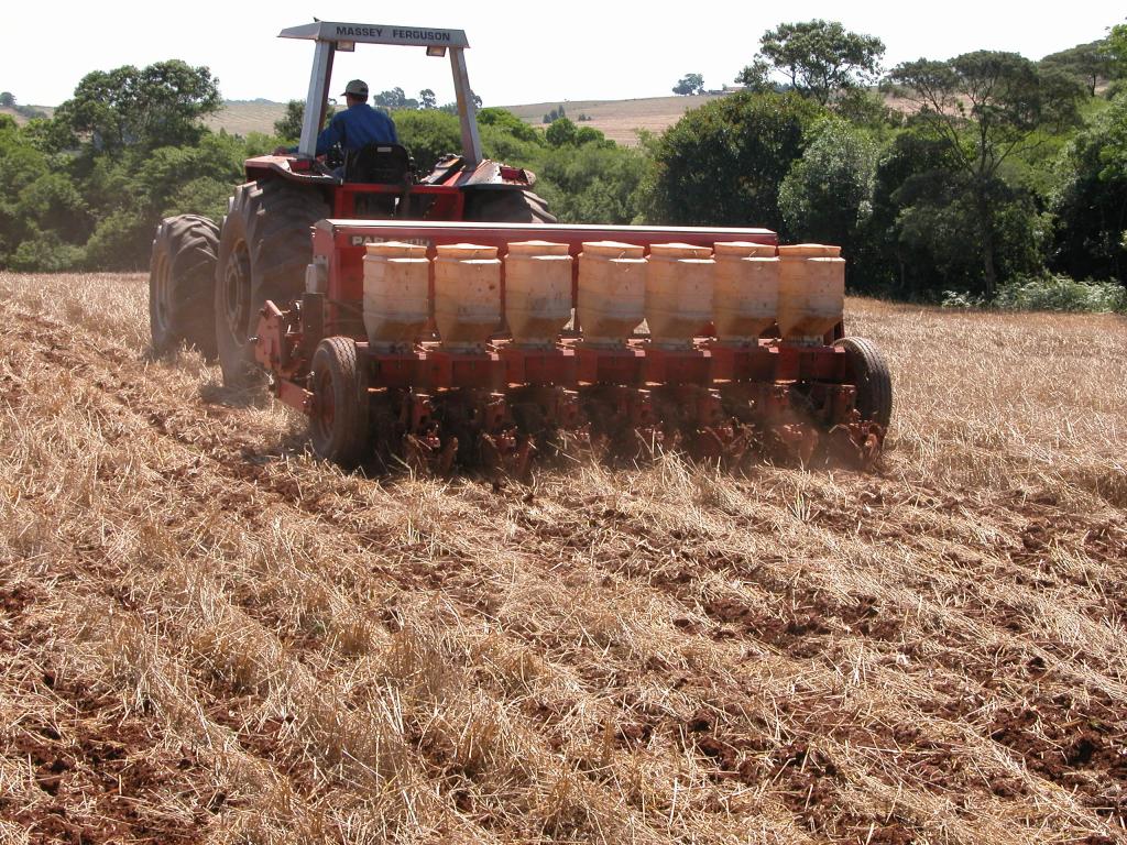 Seguir a recomendação para a época de semeadura pode reduzir perdas com o clima