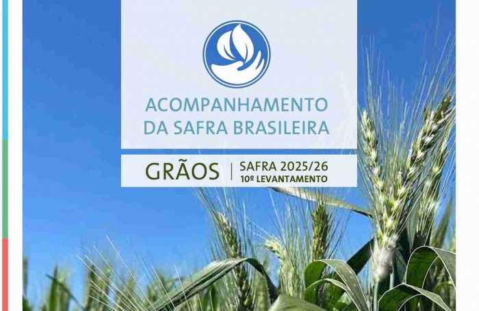 Se espera que la cosecha de cereales 2025/26 alcance los 360,1 millones de toneladas