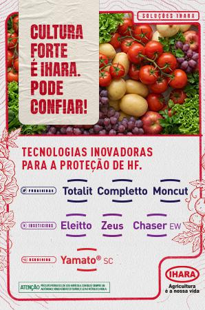 Ihara batata