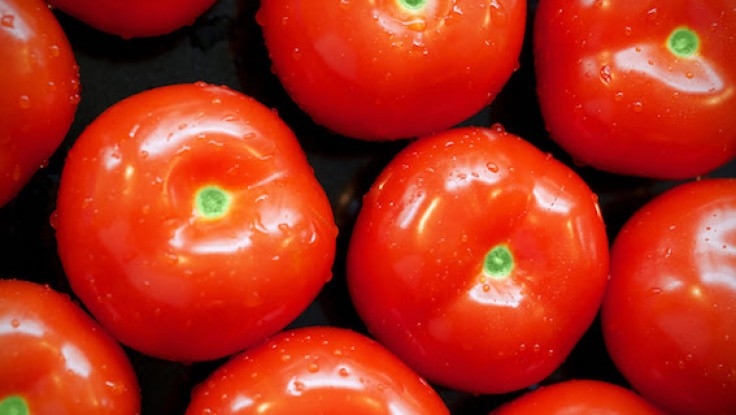 Mercado de tomate fresco é promissor no Brasil