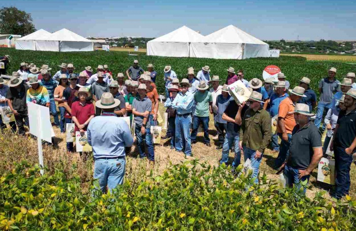 Copacol promove a 34ª edição do seu Dia de Campo de Verão