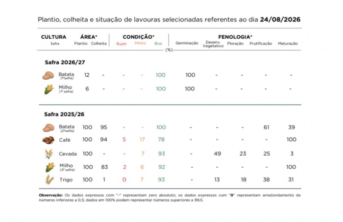 PR Safra 2025/26: colheita do milho 2ª safra entra na reta final