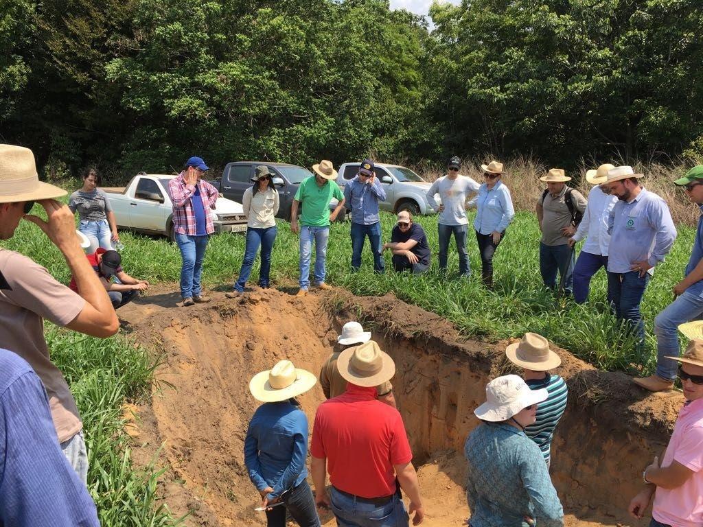 Curso de Especialização em Solos e Nutrição de Plantas à distância da ESALQ/USP abre inscrições para segunda turma