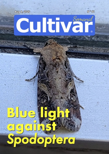 Cultiver chaque semaine 91