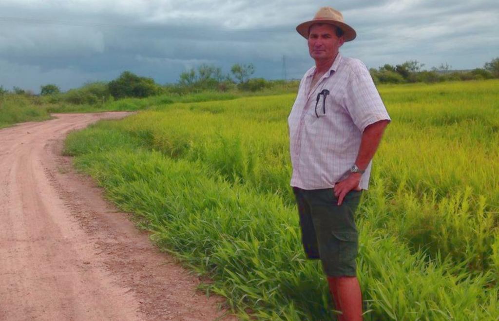 RiceTec lança projeto de 15 mil quilos por hectare nas lavoras de arroz