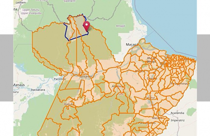 Confirmado primeiro foco de vassoura-de-bruxa da mandioca no Pará