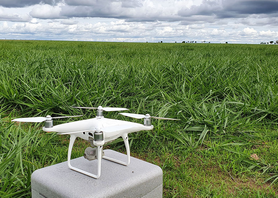 Drones guarantee 66% accuracy in monitoring pastures
