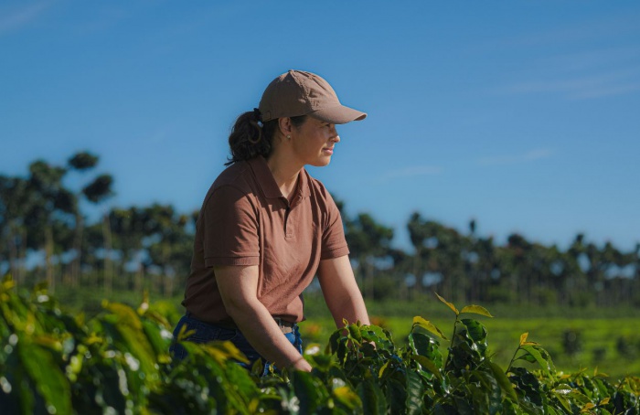 Prêmio Cerrado Mineiro lança categoria de café regenerativo