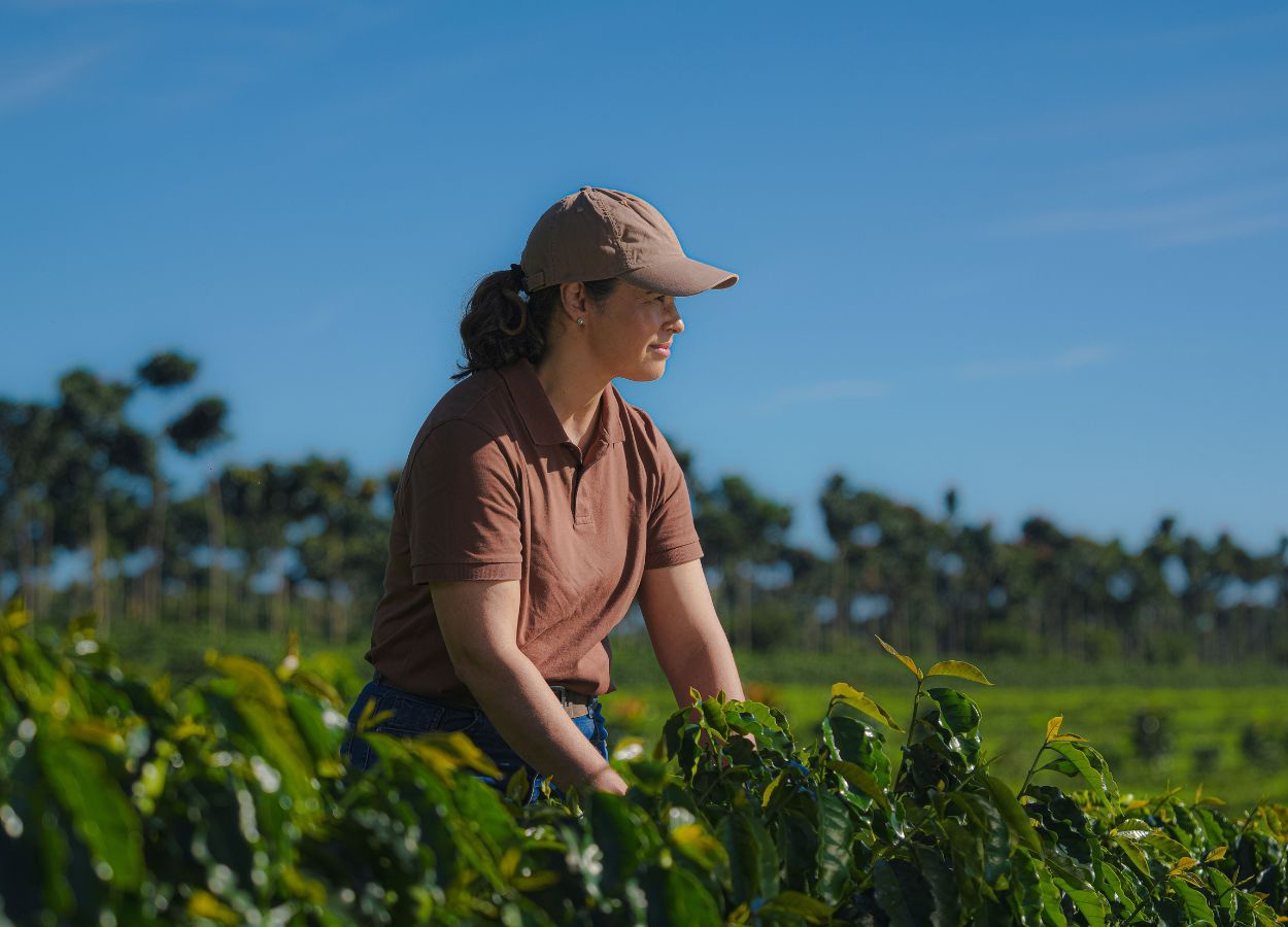 Prêmio Cerrado Mineiro lança categoria de café regenerativo