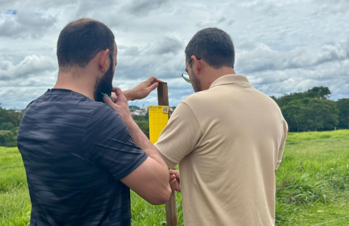 Observatório da cigarrinha-do-milho será lançado em Uberaba