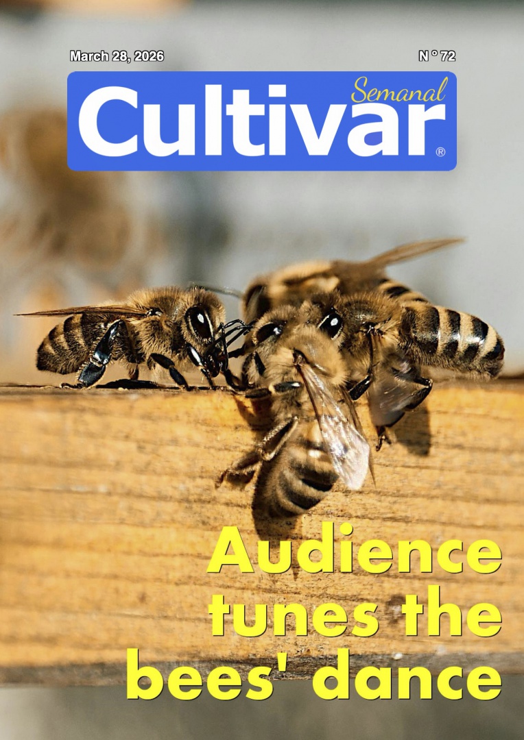 Cultivar Weekly Magazine 72