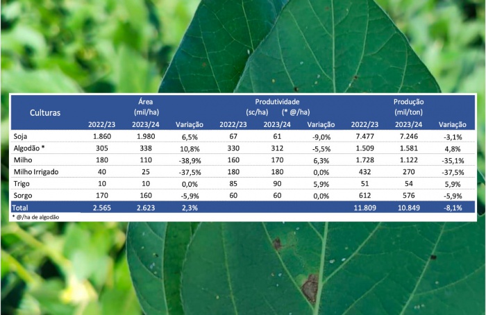 Soybeans are making good progress in Western Bahia, despite the whitefly