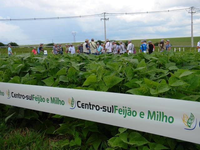 Produtores do Paraná participam do projeto Centro-Sul de Feijão e Milho