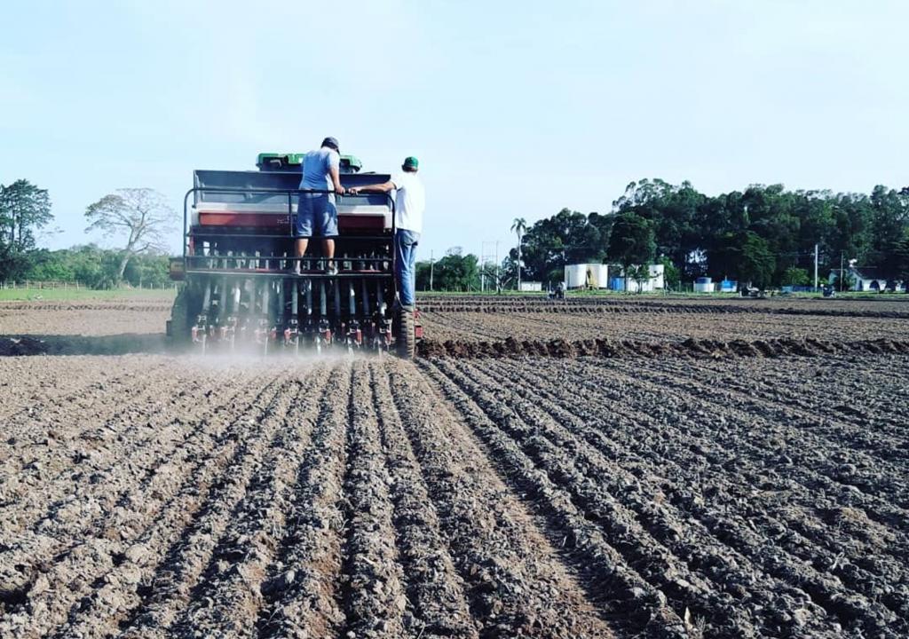 IHARA leva novidades para agricultor na 31ª Abertura Oficial da Colheita do  Arroz e Grãos - Portal do Agronegócio