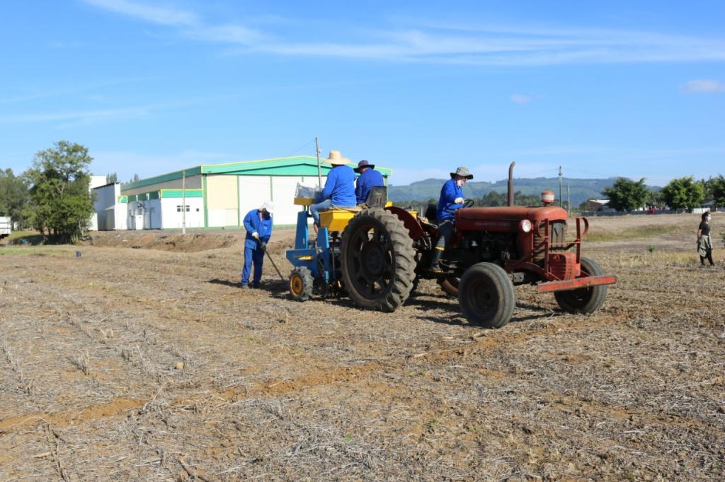 Santa Catarina implanta áreas experimentais para produção de cereais de inverno