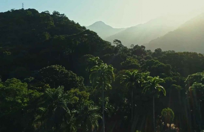 Shell, Petrobras e USP lançam inventário de carbono