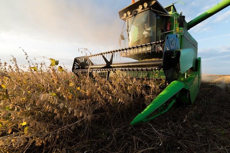 Brasil deve colher 120,6 mi de ton de soja, estima Aprosoja Brasil