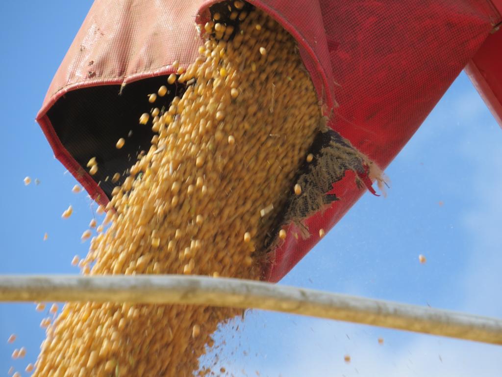 Com a safra de grãos de verão quase encerrada, inicia preparativos para a de inverno