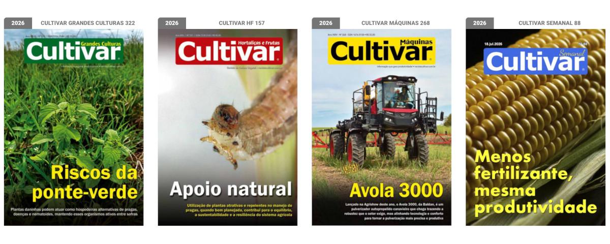 Capas - 2025