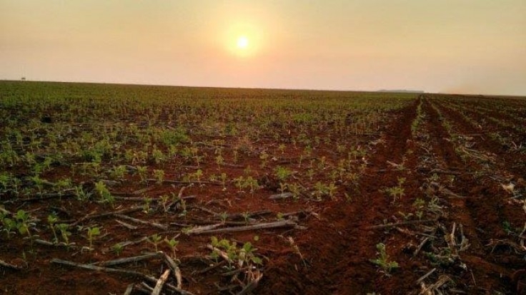 Chuvas continuarão irregulares em Mato Grosso