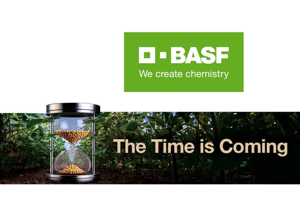 BASF recebe aprovação para fungicida Zorina nos Estados Unidos
