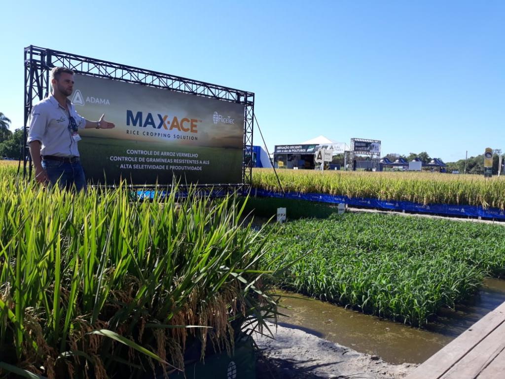 Dia de Campo da RiceTec apresenta tecnologias FullPage e Max-Ace