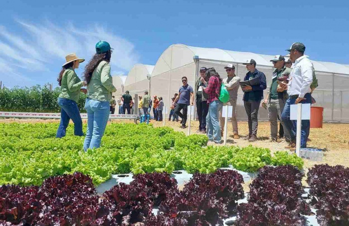 Dia de Campo destaca novas soluções da East-West Seed