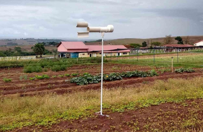 Pesquisadores usam IA para combater a ferrugem-asiática