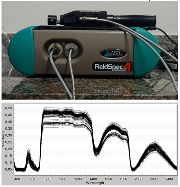 Sensor hiperespectral terrestre (FieldSpec) e relação entre o comprimento de onda e a reflectância para caracterizar a cultura