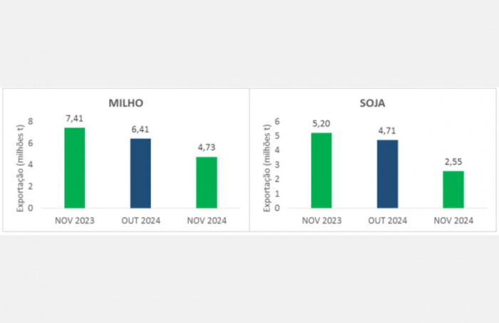 Exportações de soja e milho em queda, aponta Conab