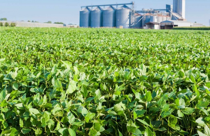 Regularização de agroindústrias é tema de fórum em Minas