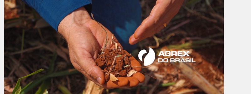 Agrex, Mitsubishi Corporation's agribusiness arm, presents its own brand of seeds