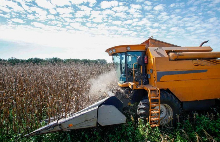 Produção de grãos pode crescer 1,4% na safra 2026/27